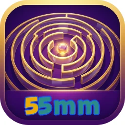 55mm