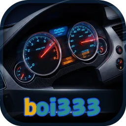 boi333